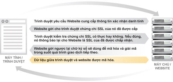 Chứng chỉ số SSL