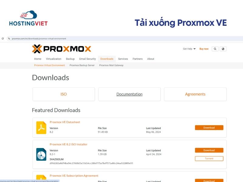 Giao diện tải Proxmox VE