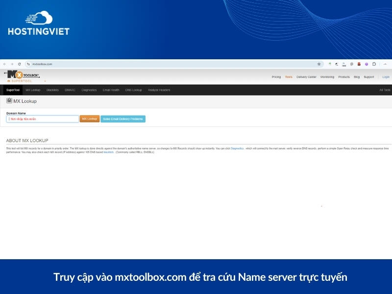 Truy cập vào mxtoolbox.com để tra cứu Name server trực tuyến