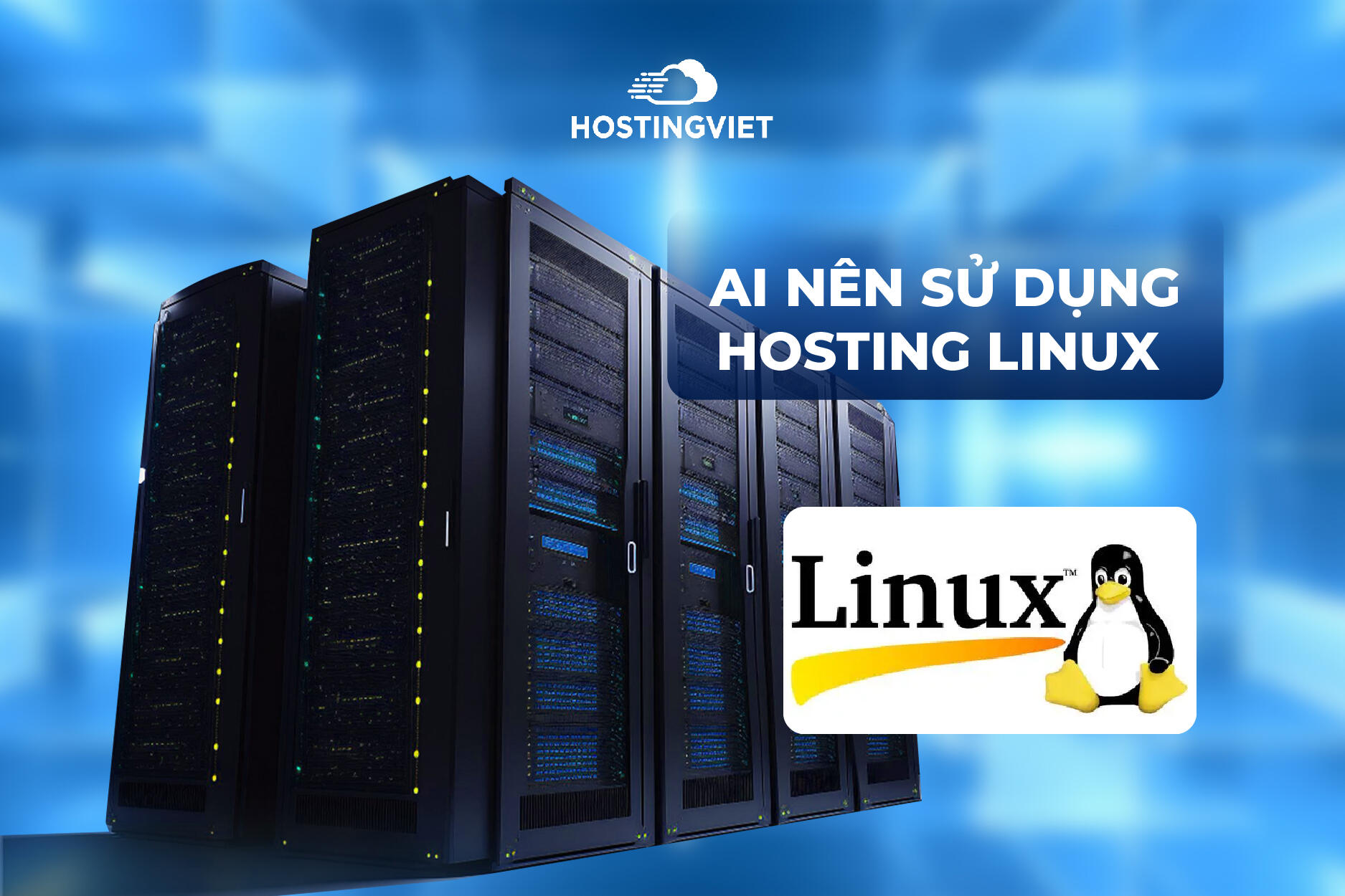 Nên chọn loại Hosting nào?