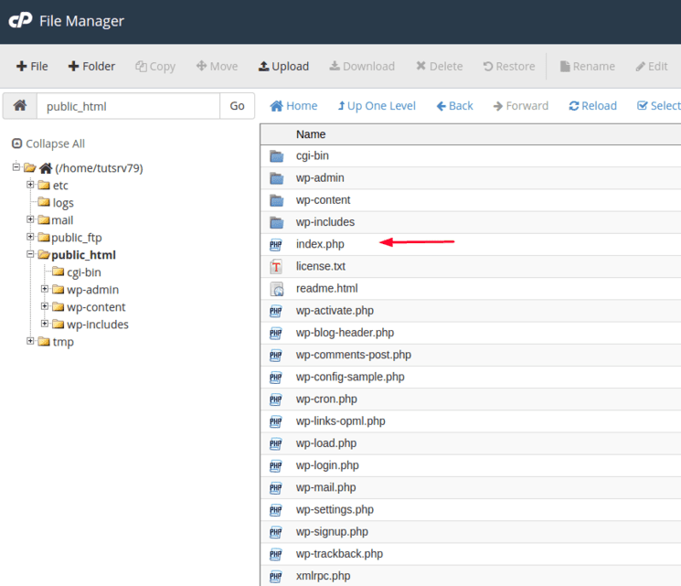 Kiểm tra file đã được di chuyển hoàn toàn đến public_html chưa