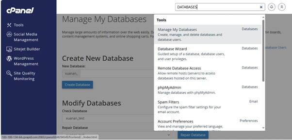 add IP Remote MySQL trên Hosting cPanel - Bước 5