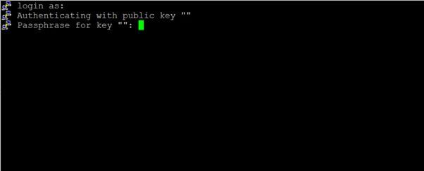 Hướng dẫn kích hoạt SSH/Shell Access trong cPanel