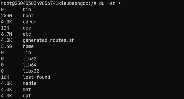 kiểm tra VPS bị full dung lượng kiểm tra VPS bị full dung lượng