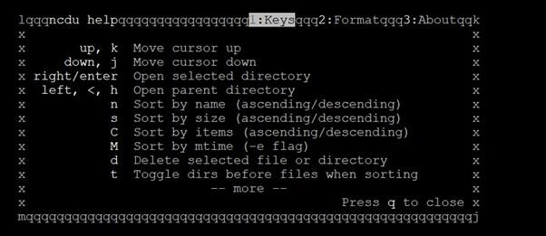 Xem thông tin chi tiết các lệnh NCDU