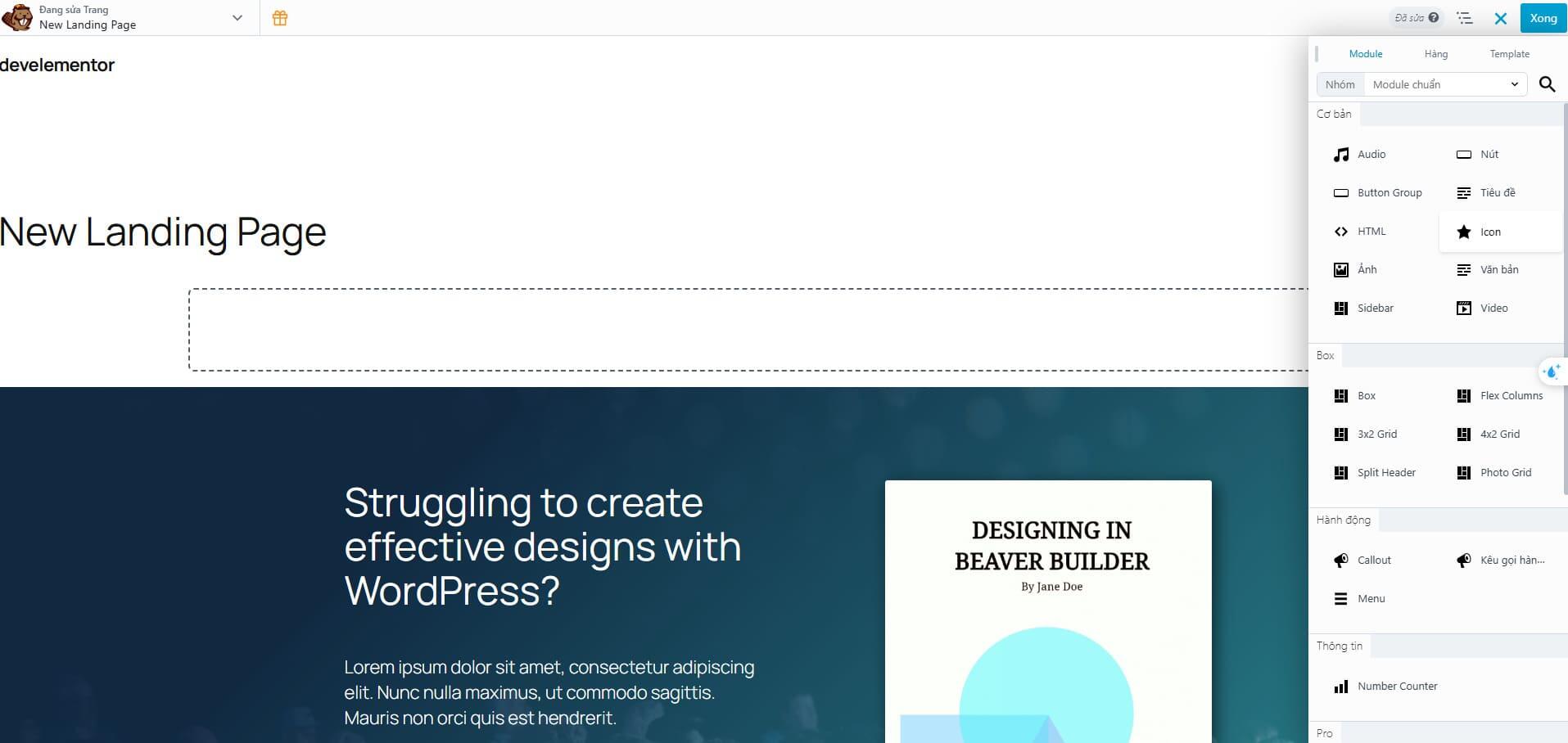 Bước 6 - Cấu h&igrave;nh v&agrave; bắt đầu thiết kế landing page