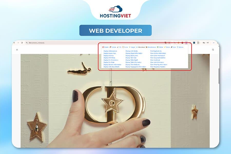 C&ocirc;ng cụ Web Developer
