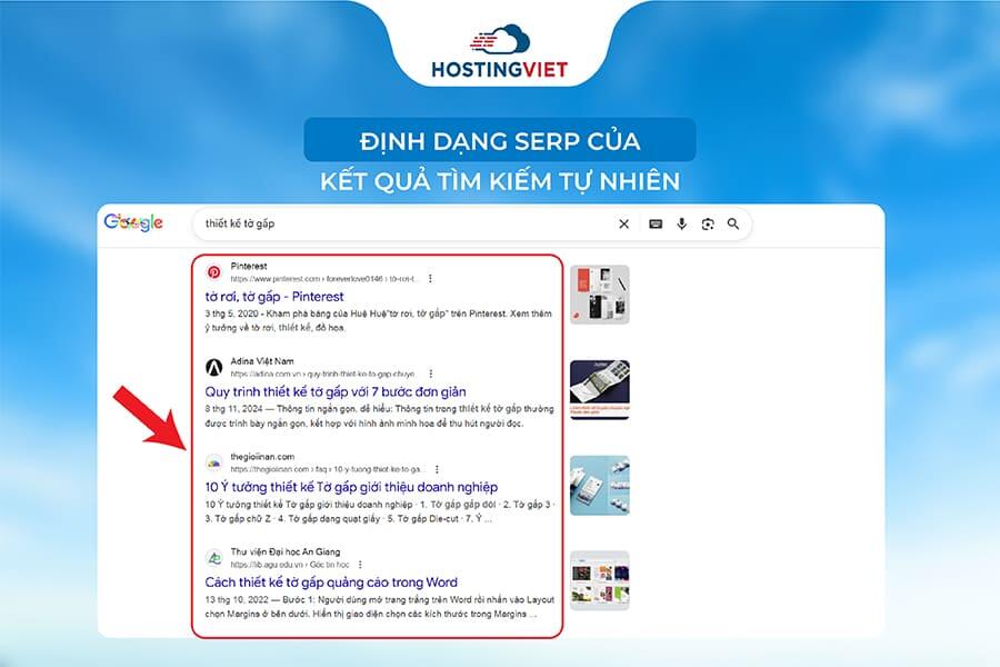 Định dạng SERP của kết quả t&igrave;m kiếm tự nhi&ecirc;n