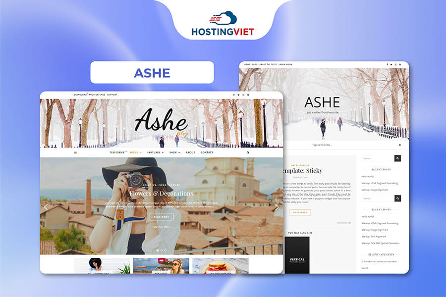Theme wordpress đẹp - Ashe