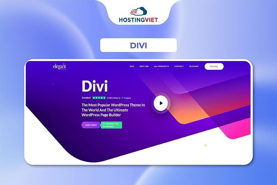 Theme wordpress đẹp - Divi