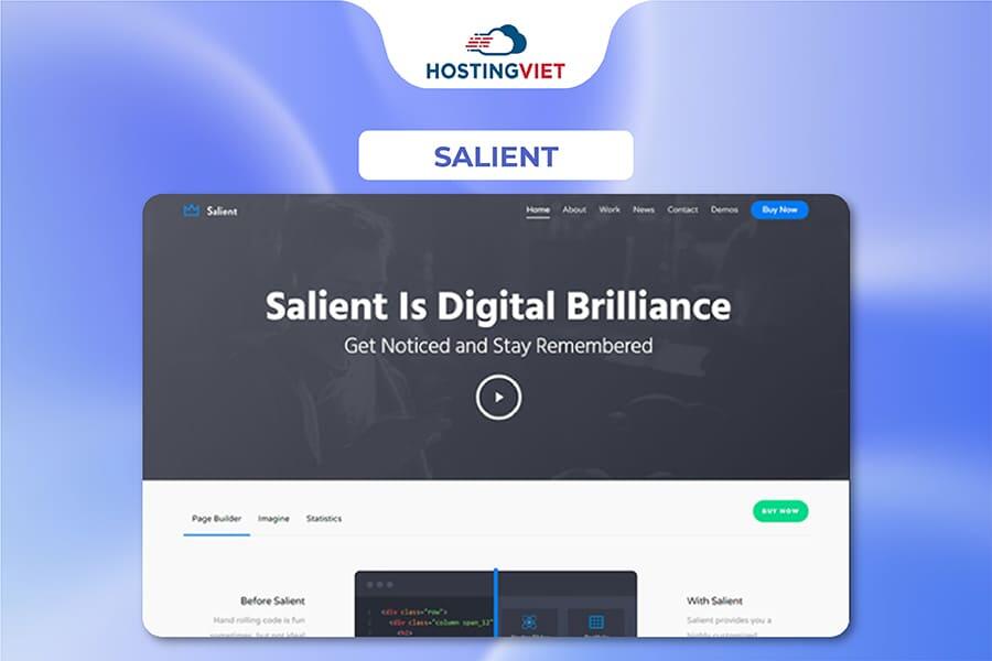 Theme wordpress đẹp - Salient