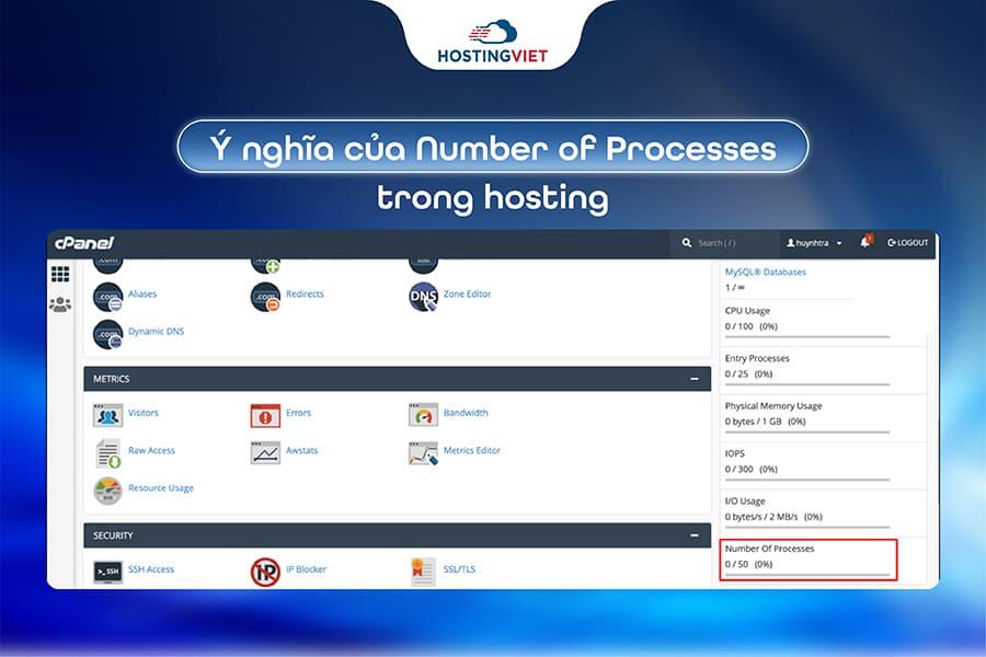 &Yacute; nghĩa của Number of Processes trong hosting