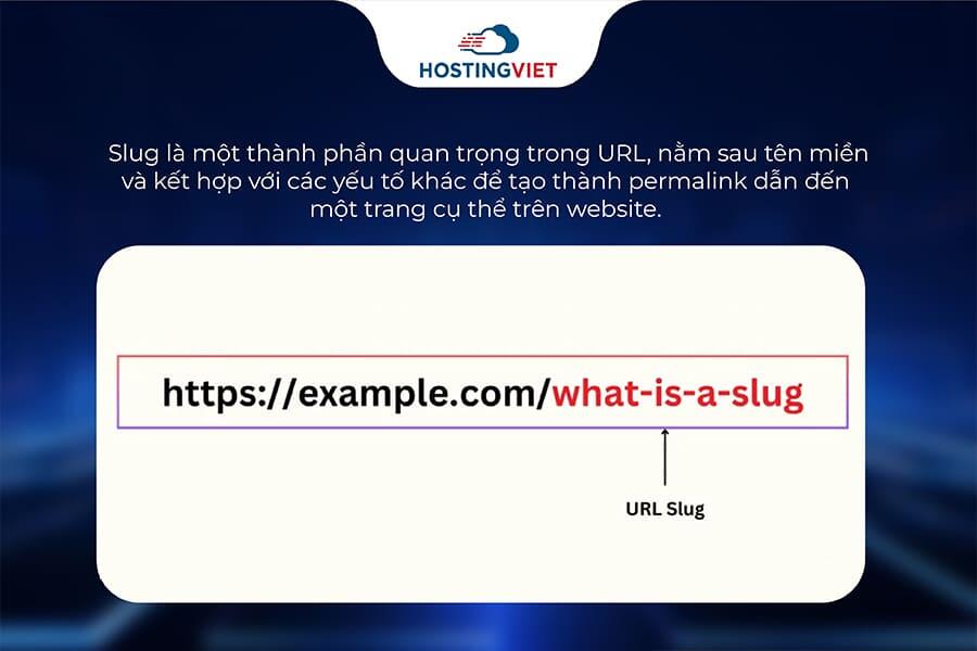 Slug là gì? Slug là gì?