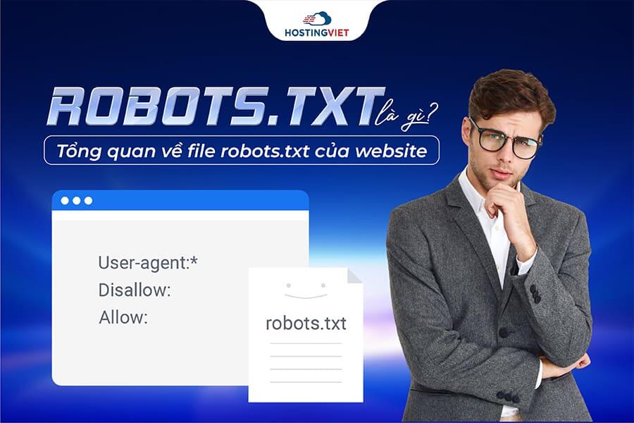 Robots.txt l&agrave; g&igrave;