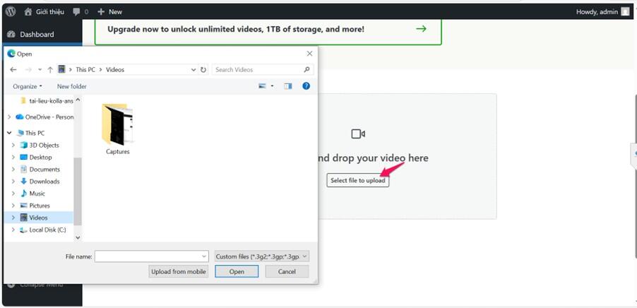 Tải l&ecirc;n v&agrave; quản l&yacute; video