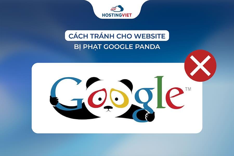C&aacute;ch tr&aacute;nh cho website bị phạt Google panda