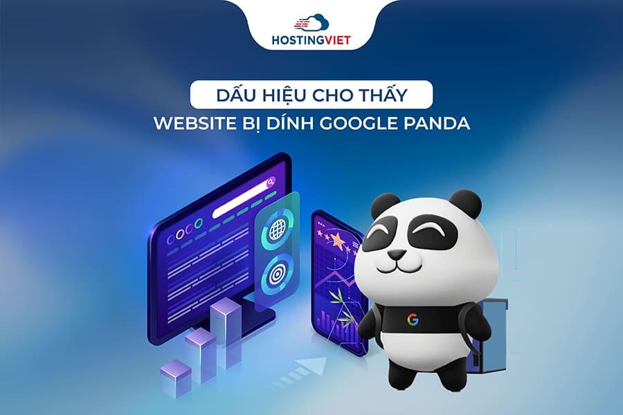 Dấu hiệu cho thấy website bị d&iacute;nh Google panda