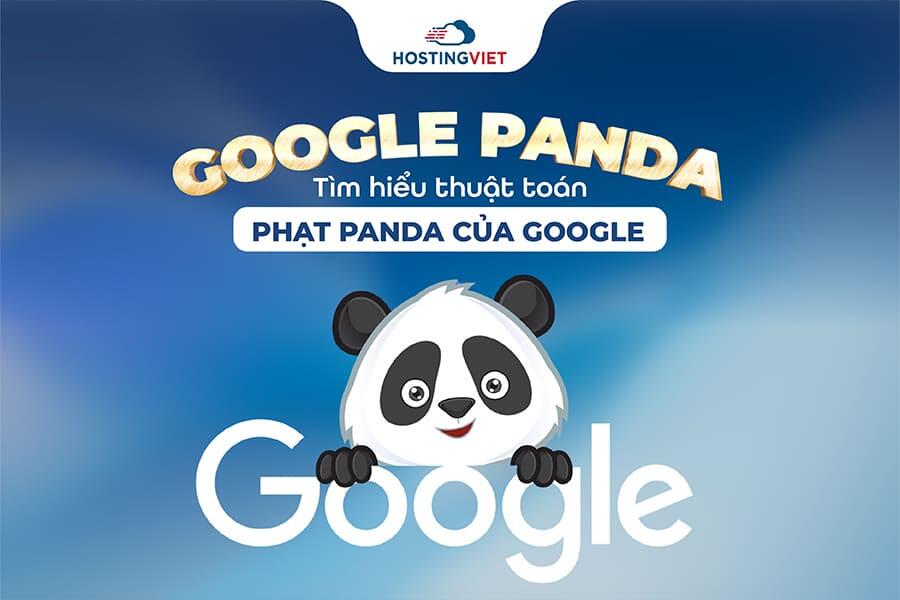 Thuật to&aacute;n Google panda l&agrave; g&igrave;?