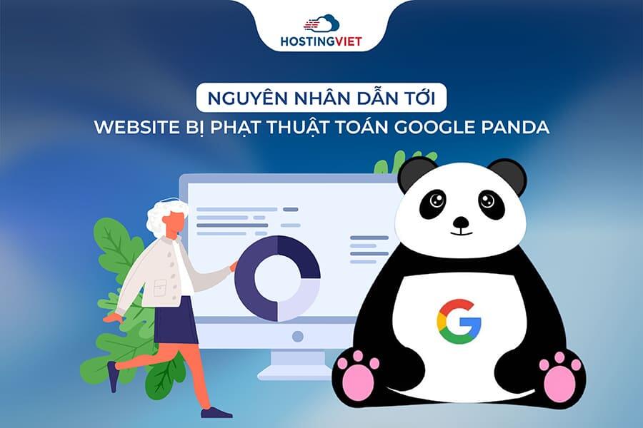 Nguy&ecirc;n nh&acirc;n website bị phạt thuật to&aacute;n Google panda