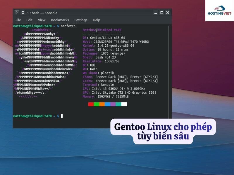 Gentoo Linux cho phép tùy biến sâu Gentoo Linux cho phép tùy biến sâu